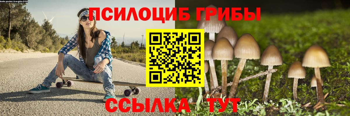 Псилоцибиновые грибы Psilocybine cubensis Ишим